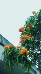 CF3423E3-9687-4A59-8F41-08C8290AEB9A/L0/001