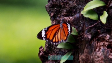 3F881582-49FF-4FBF-9504-10868D3D89A0/L0/001