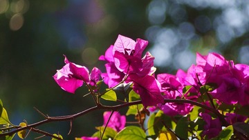D86E1259-8B2B-4F03-B696-CE8AC3B6ABD3/L0/001