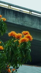 7BD13148-A239-4B4F-9696-AF770E66C746/L0/001