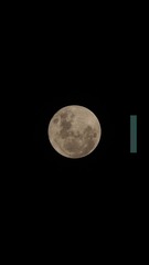 ABCCD290-F508-41C4-91FF-0752BE308127/L0/001