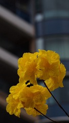 8EC00309-B1C8-424C-94DF-732ED2B0A48C/L0/001