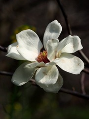 89AB0146-C0D3-48BF-BB56-00547E0068C9/L0/001