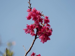 9CA097D1-697A-40FB-9590-6A9DF0E8F81A/L0/001