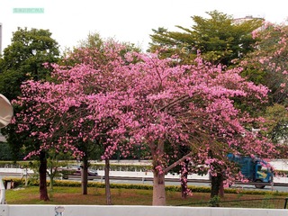 11A70EED-15CC-4E85-9FD7-12D5E9519B69/L0/001
