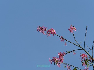58F03E1D-3C8A-4DC8-9A46-8E753D6C01FA/L0/001