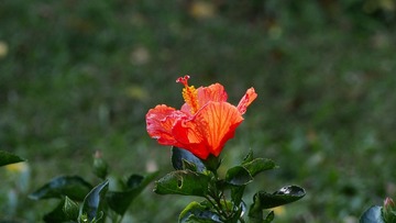 5D00E147-307E-4503-813B-5D7B86DFEEB6/L0/001