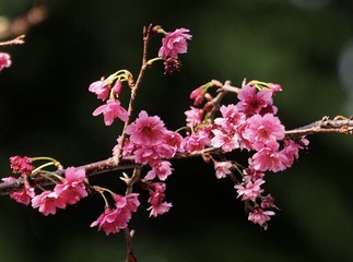 44AC930D-4120-423D-A1B0-669A2717672B/L0/001