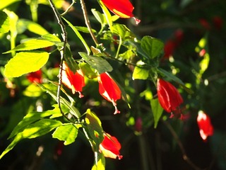 E480191E-0865-4FC6-B6E5-A22EED12F19F/L0/001