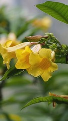 27B963E3-777C-4BBD-804E-477C2CF25CCB/L0/001