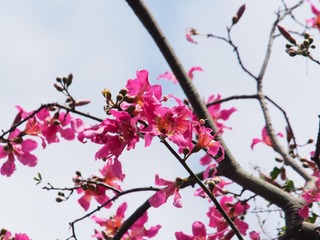 4C26D3B5-CB4F-4F58-89F8-3719CF40474E/L0/001