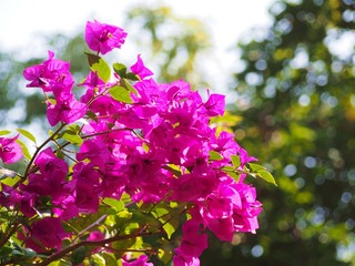 0B2603DF-08B4-4D8E-AFC2-F6926EED3158/L0/001