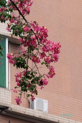 A58775EF-FA55-47B2-A7E2-9DD072746283/L0/001