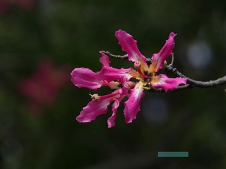 999DACCF-6353-45BD-AFF2-1A7ADFBED039/L0/001