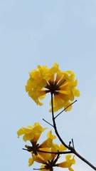 173EB5B9-B781-4FA0-9A4F-C8B7C9C92E91/L0/001