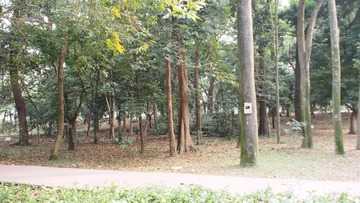89C96DC5-A95A-4DF0-9A2F-ADECD8451220/L0/001