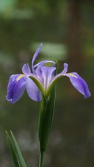 6AE93E01-AE60-491E-B5F4-F1B6457AA2C2/L0/001