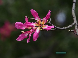 08D7BC25-B111-4916-A928-79DD2CDAA361/L0/001