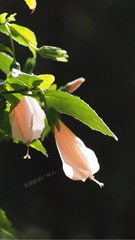 DC750D3E-F82D-4EED-8C97-B68F4A2AA7C1/L0/001