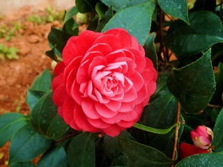 373C682C-BEE7-474E-ABBC-88D74A31A859/L0/001