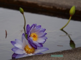 14C06F04-31F8-4EC6-8BE6-D6750E841088/L0/001
