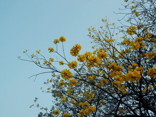 7B0B6282-82B2-4202-B57B-CB756F0B449D/L0/001