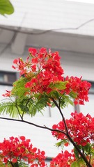 4D783F02-C4A9-47C2-86C3-32744B502428/L0/001