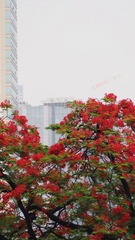 1AFF7DAB-66F9-4401-B9AA-F1530ADFBBB7/L0/001