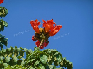 D4CA05FA-753C-4085-923B-1DCF8A483DC2/L0/001