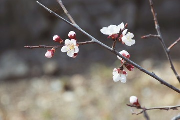 51F65E3D-8EED-4DEA-ADE9-0F33AF1AC39A/L0/001
