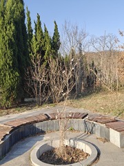 1000002540