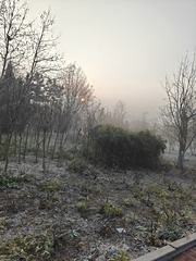 1000002117