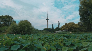 1076572
