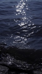 448A2984-BD13-4975-A3D4-04FF3E0C50AC/L0/001