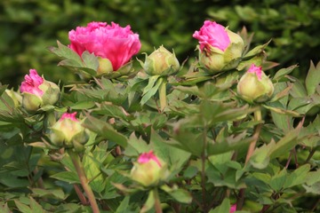DF680B59-451B-4A90-BEAE-71958C65C01A/L0/001