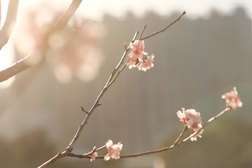 72BFADBC-066F-490D-BE5C-F8D1BFB4114A/L0/001