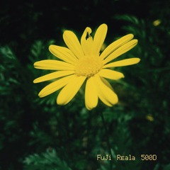 8DAB1589-460E-4377-9997-A0E18E37965F/L0/001