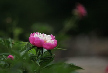 42A89034-7836-4262-BE40-ACE1DFB29960/L0/001