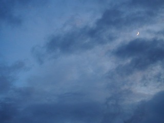 7265CF47-BA8B-415B-BD14-E1FDC86406AE/L0/001