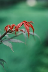 17B0298C-5DE1-4D90-BB9A-3A3EE9819BAF/L0/001