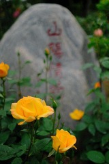 B6970C9F-7D01-4196-A16B-16B1DA7D0FF8/L0/001