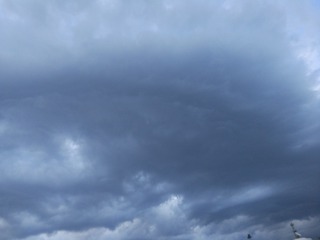 955233