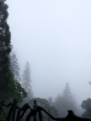 1000034551