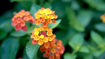 686A084C-71F1-44AB-81DB-DB3EF22D3496/L0/001
