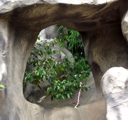 缝里