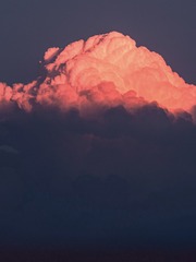2039023