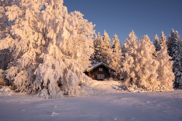 46701