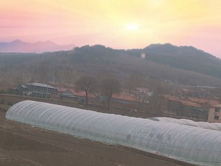 96521