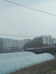 96522