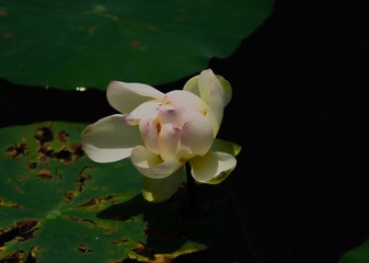 001